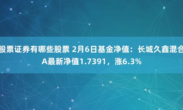 股票证券有哪些股票 2月6日基金净值：长城久鑫混合A最新净值1.7391，涨6.3%