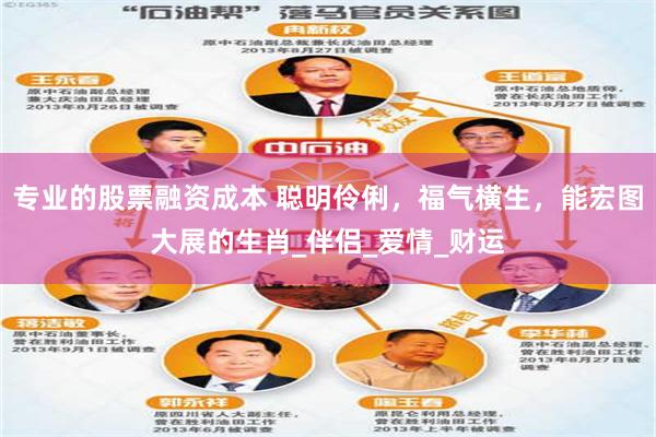 专业的股票融资成本 聪明伶俐，福气横生，能宏图大展的生肖_伴侣_爱情_财运