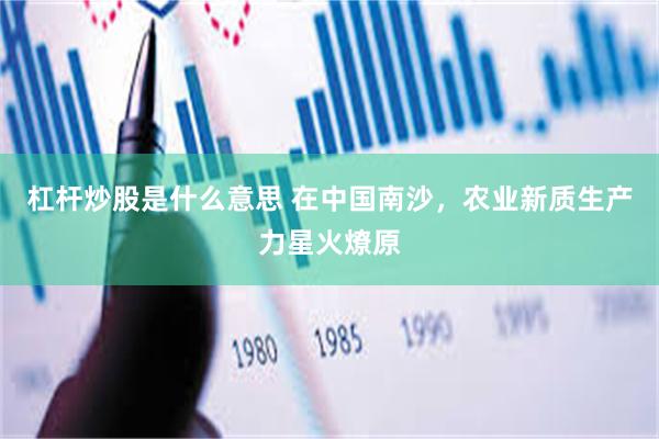 杠杆炒股是什么意思 在中国南沙，农业新质生产力星火燎原