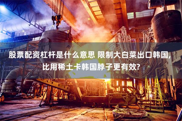 股票配资杠杆是什么意思 限制大白菜出口韩国, 比用稀土卡韩国脖子更有效?