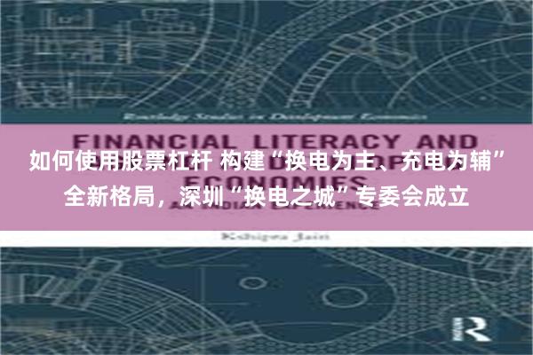 如何使用股票杠杆 构建“换电为主、充电为辅”全新格局，深圳“换电之城”专委会成立