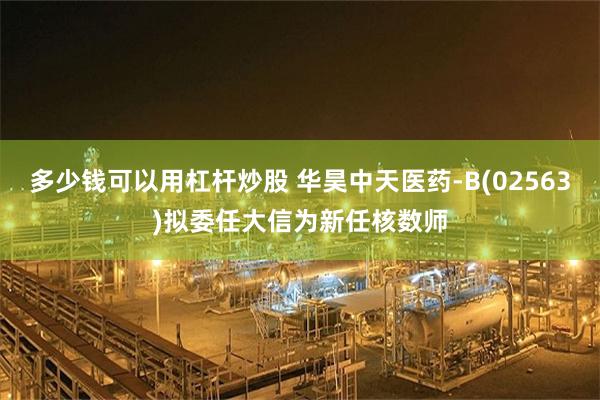 多少钱可以用杠杆炒股 华昊中天医药-B(02563)拟委任大信为新任核数师