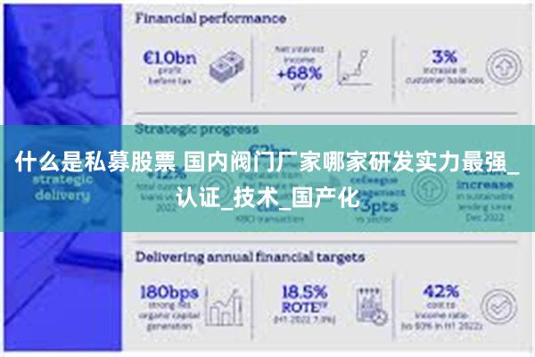 什么是私募股票 国内阀门厂家哪家研发实力最强_认证_技术_国产化
