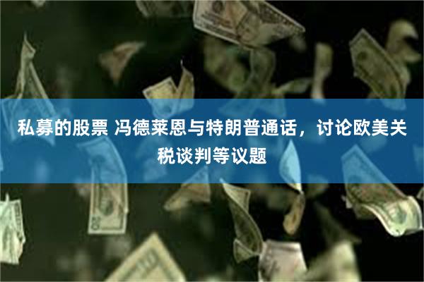 私募的股票 冯德莱恩与特朗普通话，讨论欧美关税谈判等议题