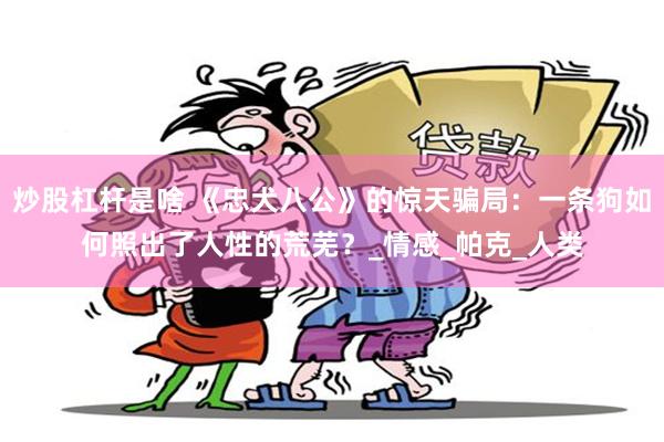 炒股杠杆是啥 《忠犬八公》的惊天骗局：一条狗如何照出了人性的荒芜？_情感_帕克_人类