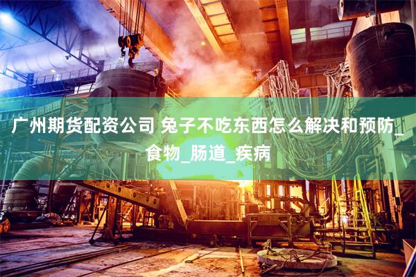 广州期货配资公司 兔子不吃东西怎么解决和预防_食物_肠道_疾病