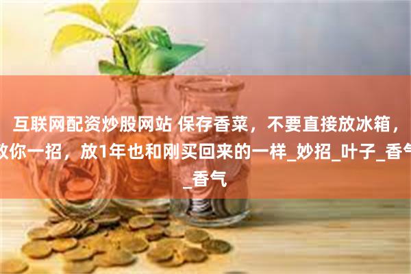 互联网配资炒股网站 保存香菜，不要直接放冰箱，教你一招，放1年也和刚买回来的一样_妙招_叶子_香气