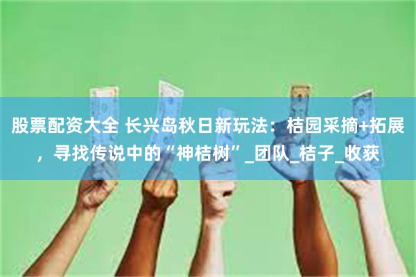 股票配资大全 长兴岛秋日新玩法：桔园采摘+拓展，寻找传说中的“神桔树”_团队_桔子_收获