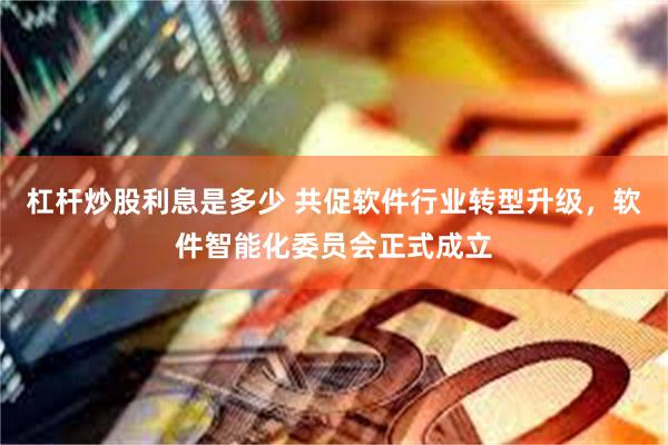 杠杆炒股利息是多少 共促软件行业转型升级，软件智能化委员会正式成立