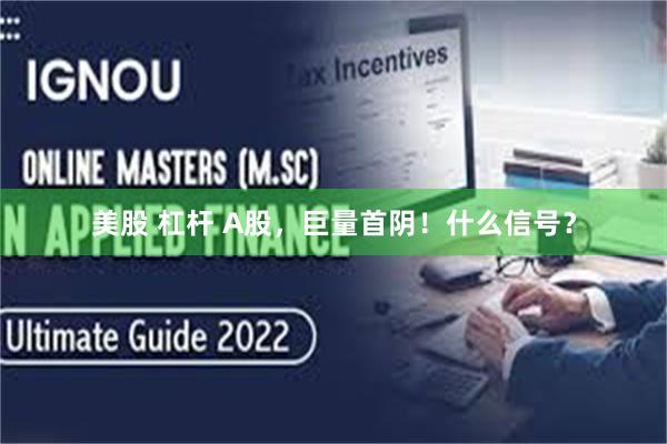 美股 杠杆 A股,巨量首阴!什么信号?