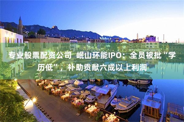 专业股票配资公司  岷山环能IPO：全员被批“学历低”，补助贡献六成以上利润