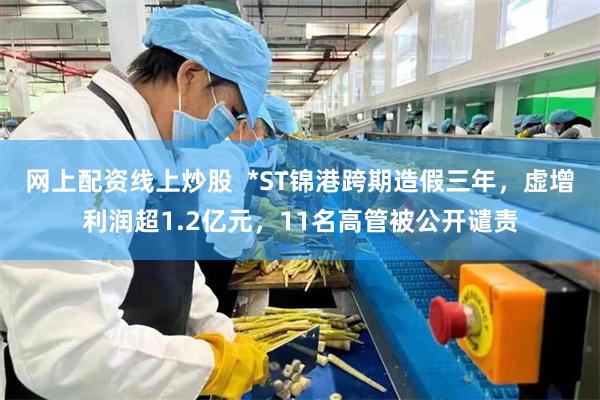 网上配资线上炒股  *ST锦港跨期造假三年，虚增利润超1.2亿元，11名高管被公开谴责