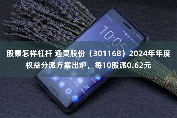 股票怎样杠杆 通灵股份（301168）2024年年度权益分派方案出炉，每10股派0.62元