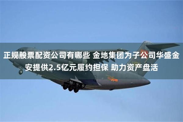 正规股票配资公司有哪些 金地集团为子公司华盛金安提供2.5亿元履约担保 助力资产盘活