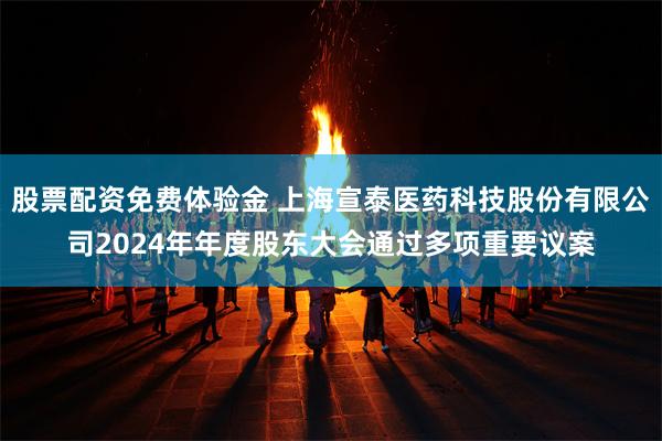 股票配资免费体验金 上海宣泰医药科技股份有限公司2024年年度股东大会通过多项重要议案