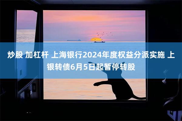 炒股 加杠杆 上海银行2024年度权益分派实施 上银转债6月5日起暂停转股