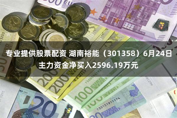 专业提供股票配资 湖南裕能（301358）6月24日主力资金净买入2596.19万元