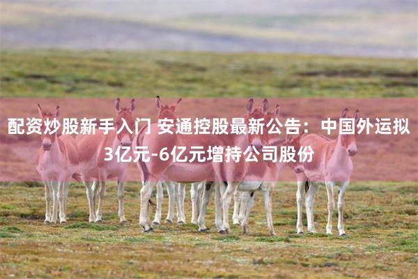 配资炒股新手入门 安通控股最新公告:中国外运拟3亿元-6亿元增持公司股份