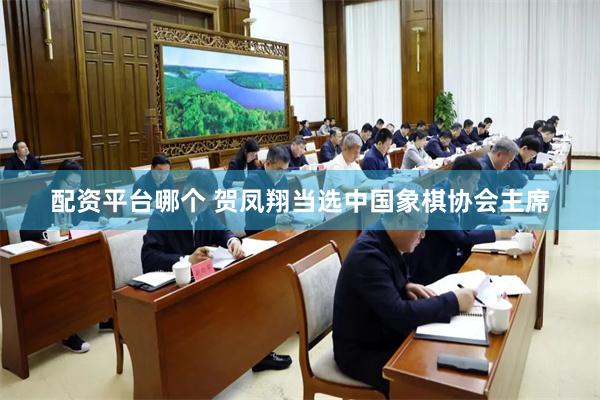 配资平台哪个 贺凤翔当选中国象棋协会主席
