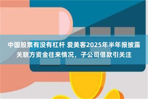 中国股票有没有杠杆 爱美客2025年半年报披露关联方资金往来情况，子公司借款引关注