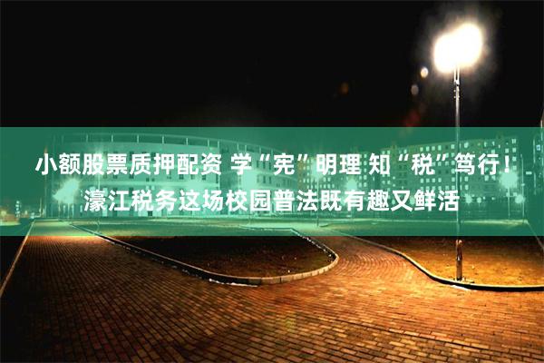 小额股票质押配资 学“宪”明理 知“税”笃行！濠江税务这场校园普法既有趣又鲜活