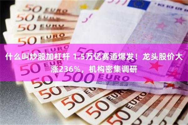 什么叫炒股加杠杆 1.5万亿赛道爆发！龙头股价大涨236%，机构密集调研