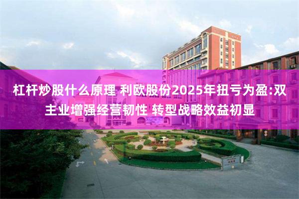 杠杆炒股什么原理 利欧股份2025年扭亏为盈:双主业增强经营韧性 转型战略效益初显