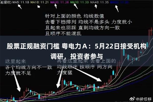 股票正规融资门槛 粤电力Ａ：5月22日接受机构调研，投资者参与