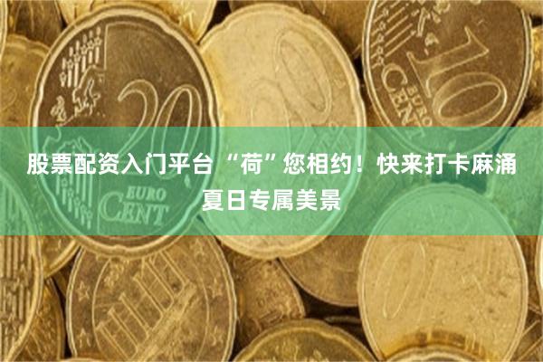 股票配资入门平台 “荷”您相约！快来打卡麻涌夏日专属美景