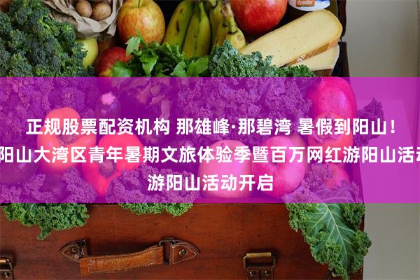 正规股票配资机构 那雄峰·那碧湾 暑假到阳山!2026阳山大湾区青年暑期文旅体验季暨百万网红游阳山活动开启