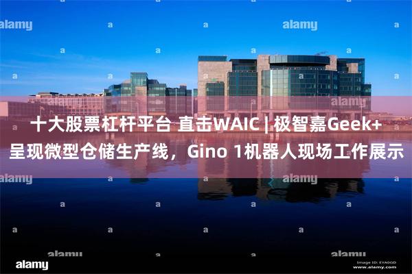 十大股票杠杆平台 直击WAIC | 极智嘉Geek+呈现微型仓储生产线，Gino 1机器人现场工作展示