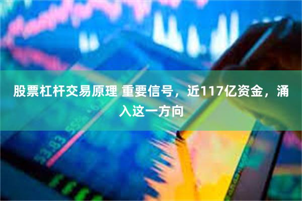 股票杠杆交易原理 重要信号，近117亿资金，涌入这一方向