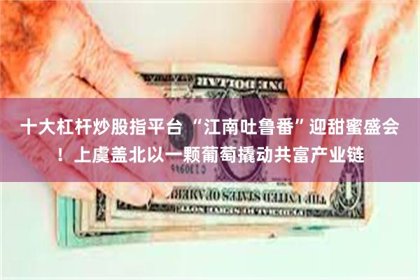 十大杠杆炒股指平台 “江南吐鲁番”迎甜蜜盛会！上虞盖北以一颗葡萄撬动共富产业链