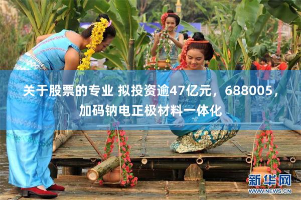 关于股票的专业 拟投资逾47亿元，688005，加码钠电正极材料一体化