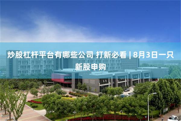 炒股杠杆平台有哪些公司 打新必看 | 8月3日一只新股申购