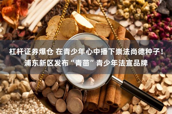 杠杆证券爆仓 在青少年心中播下崇法尚德种子！浦东新区发布“青苗”青少年法宣品牌