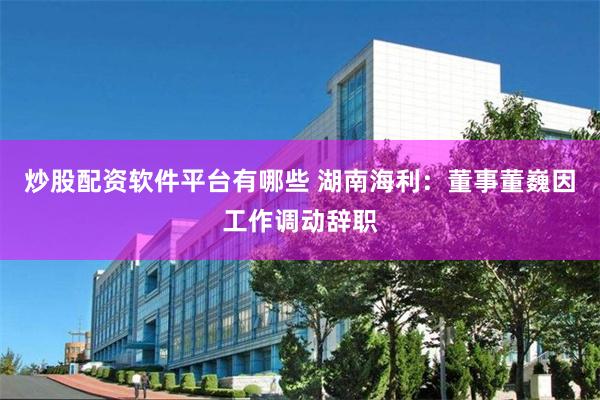 炒股配资软件平台有哪些 湖南海利：董事董巍因工作调动辞职