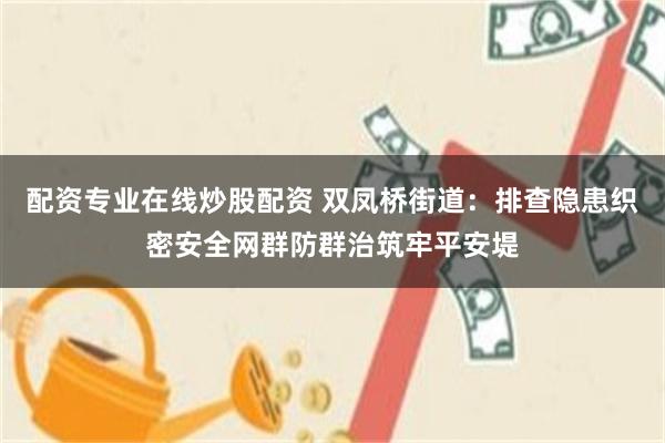 配资专业在线炒股配资 双凤桥街道：排查隐患织密安全网群防群治筑牢平安堤