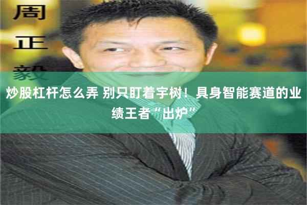 炒股杠杆怎么弄 别只盯着宇树！具身智能赛道的业绩王者“出炉”